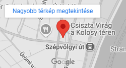 Google térkép